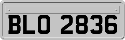BLO2836