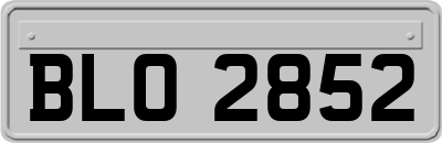 BLO2852