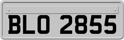 BLO2855