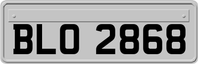 BLO2868