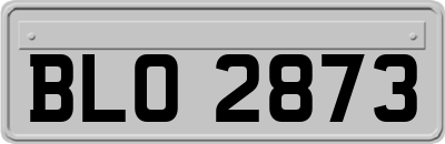 BLO2873