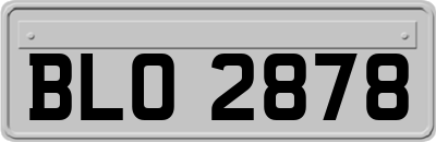BLO2878