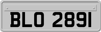 BLO2891