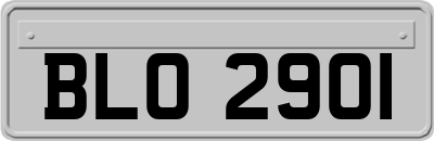 BLO2901