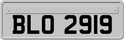 BLO2919