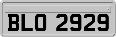 BLO2929