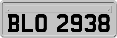 BLO2938