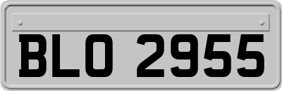 BLO2955
