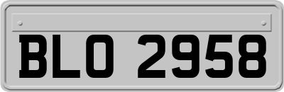 BLO2958