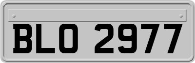 BLO2977