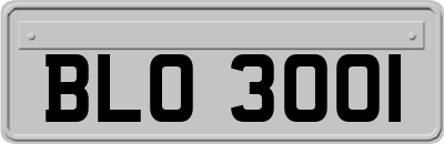 BLO3001