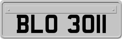 BLO3011