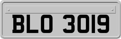 BLO3019