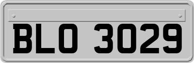 BLO3029