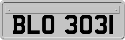 BLO3031