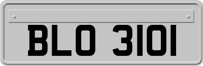 BLO3101