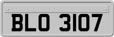BLO3107
