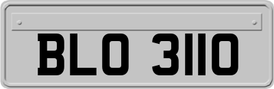 BLO3110