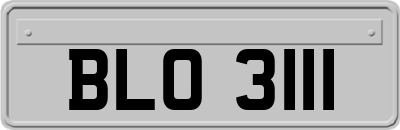 BLO3111