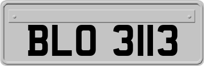 BLO3113