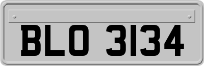 BLO3134