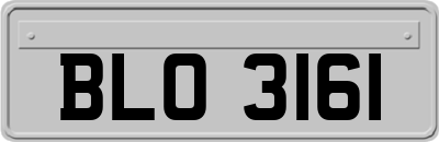 BLO3161
