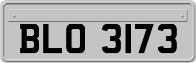 BLO3173
