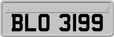 BLO3199