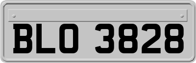 BLO3828