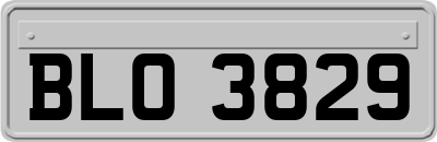 BLO3829