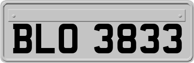 BLO3833