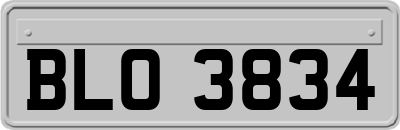 BLO3834
