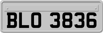 BLO3836