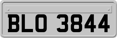 BLO3844