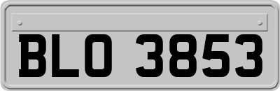 BLO3853