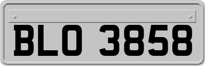 BLO3858