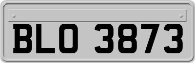 BLO3873