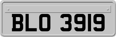 BLO3919