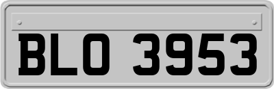 BLO3953