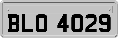 BLO4029