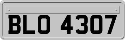 BLO4307