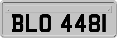 BLO4481