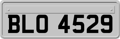 BLO4529