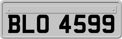 BLO4599