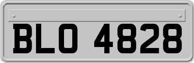 BLO4828