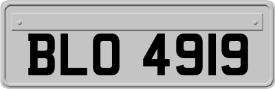 BLO4919