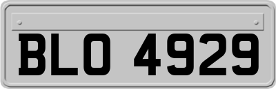 BLO4929