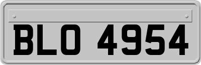 BLO4954