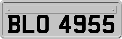 BLO4955