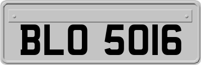 BLO5016